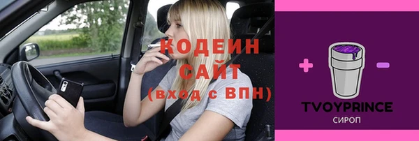 сатива Новокубанск