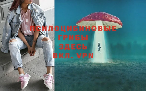 трава Алексин